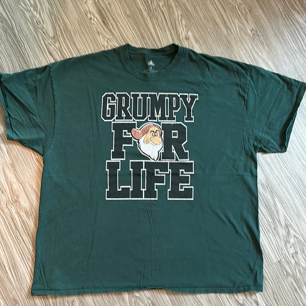 Disney World grumpy Tshirt Christmas 22/23 size 3XL